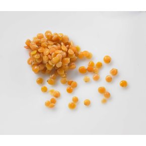  2091 Red Lentils